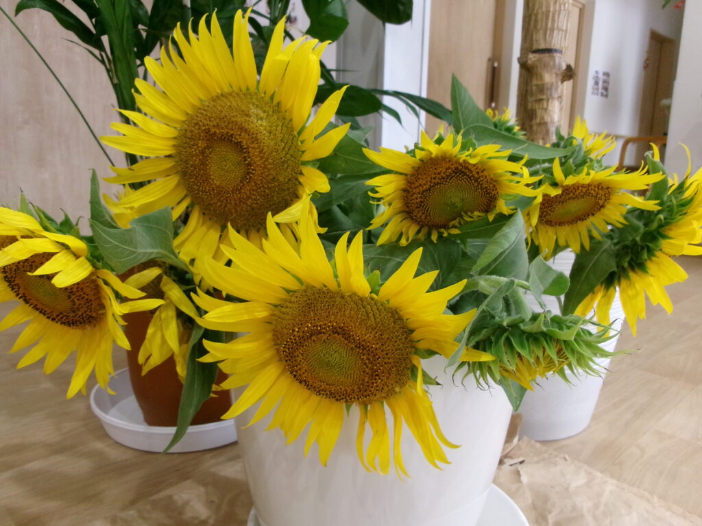 ６月・７月