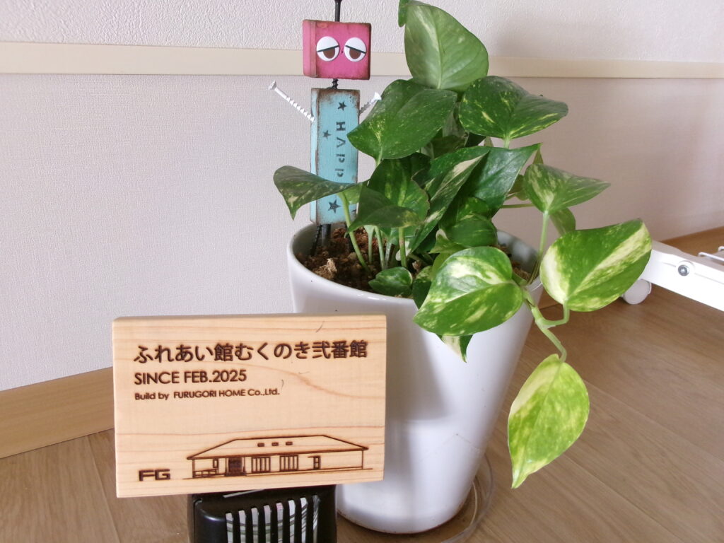 癒しのグリーン🍃